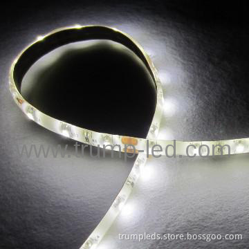 HOT product  waterproof 12v /24v  led strip lighting flex